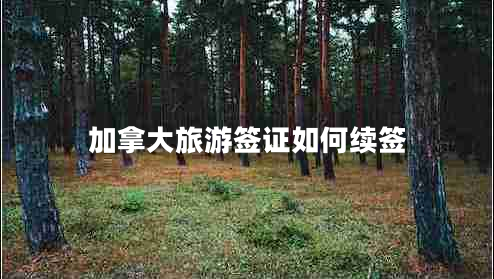 加拿大旅游簽證如何續(xù)簽