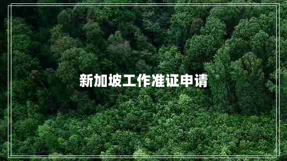 新加坡工作準(zhǔn)證申請(qǐng)