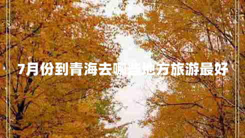 7月份到青海去哪些地方旅游最好 7月份到青海去哪些地方旅游最好