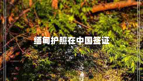 緬甸護(hù)照在中國(guó)簽證 緬甸護(hù)照在中國(guó)簽證