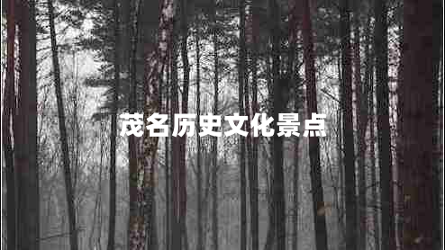 茂名歷史文化景點(diǎn)