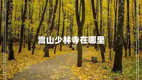 嵩山少林寺在哪里 嵩山少林寺在哪里