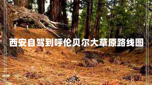 西安自駕到呼倫貝爾大草原路線圖 西安自駕到呼倫貝爾大草原路線圖