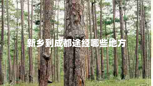 新鄉(xiāng)到成都途經(jīng)哪些地方