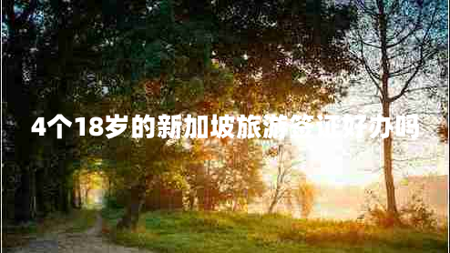 4個18歲的新加坡旅游簽證好辦嗎