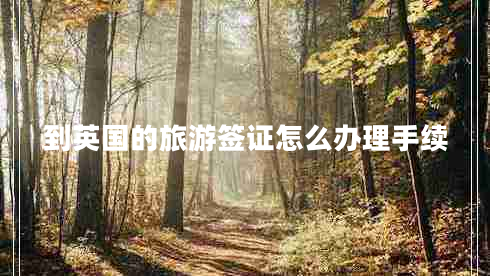 到英國的旅游簽證怎么辦理手續(xù)