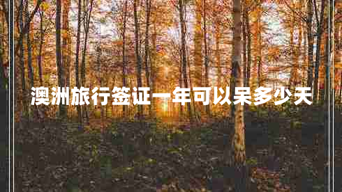 澳洲旅行簽證一年可以呆多少天