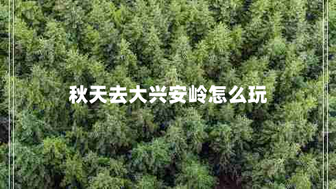 秋天去大興安嶺怎么玩 秋天去大興安嶺怎么玩