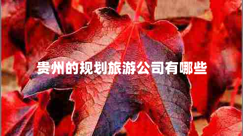 貴州的規(guī)劃旅游公司有哪些