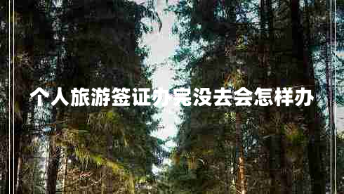 個人旅游簽證辦完沒去會怎樣辦