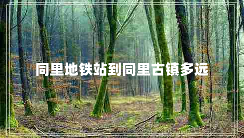 同里地鐵站到同里古鎮(zhèn)多遠 同里地鐵站到同里古鎮(zhèn)多遠