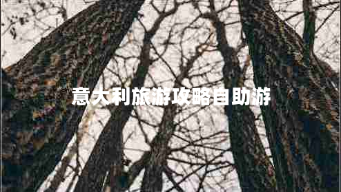 意大利旅游攻略自助游 意大利旅游攻略自助游