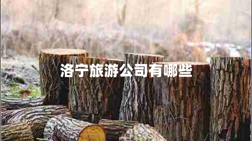 洛寧旅游公司有哪些 洛寧旅游公司有哪些