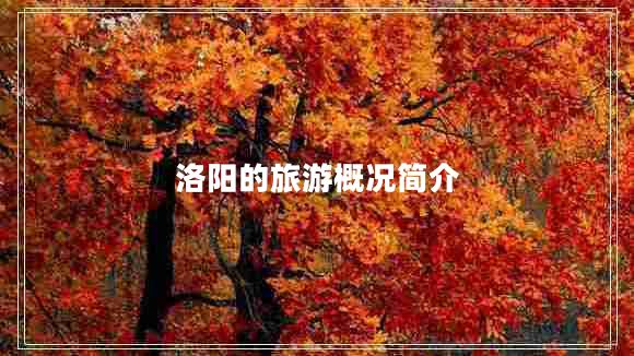 洛陽(yáng)的旅游概況簡(jiǎn)介