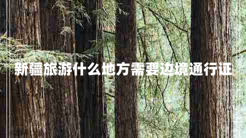 新疆旅游什么地方需要邊境通行證