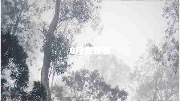 8月去旅游 8月去旅游