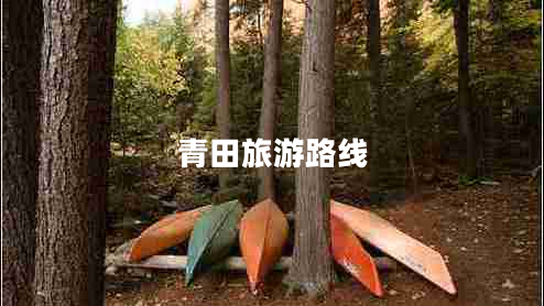 青田旅游路線 青田旅游路線