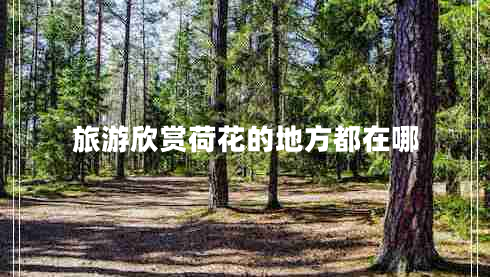 旅游欣賞荷花的地方都在哪 旅游欣賞荷花的地方都在哪