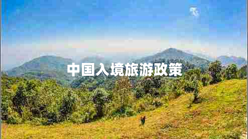 中國入境旅游政策 中國入境旅游政策