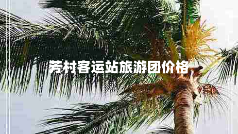 芳村客運(yùn)站旅游團(tuán)價(jià)格