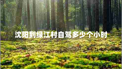 沈陽到綠江村自駕多少個小時 沈陽到綠江村自駕多少個小時