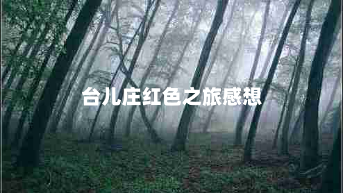 臺(tái)兒莊紅色之旅感想