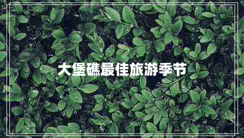 大堡礁最佳旅游季節(jié)