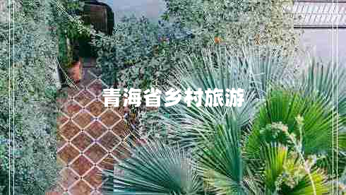 青海省鄉(xiāng)村旅游