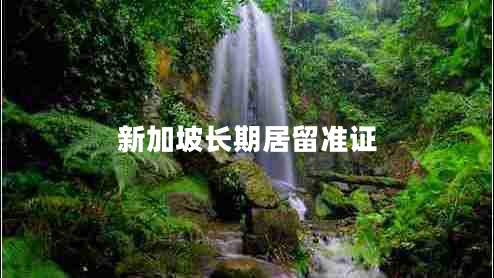 新加坡長期居留準證