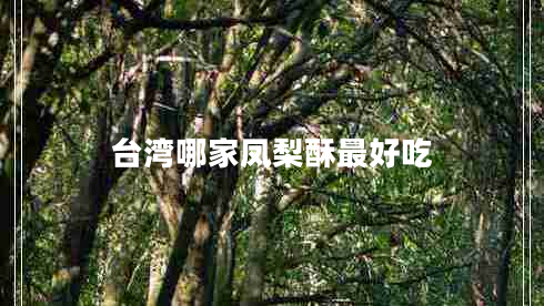 臺灣哪家鳳梨酥最好吃 臺灣哪家鳳梨酥最好吃