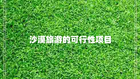 沙漠旅游的可行性項目