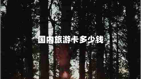 國(guó)內(nèi)旅游卡多少錢(qián) 國(guó)內(nèi)旅游卡多少錢(qián)