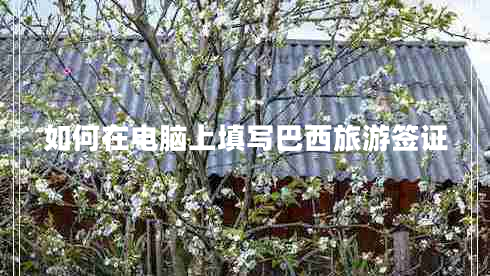 如何在電腦上填寫巴西旅游簽證