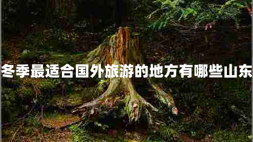 冬季最適合國(guó)外旅游的地方有哪些山東