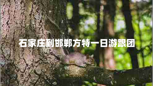 石家莊到邯鄲方特一日游跟團(tuán) 石家莊到邯鄲方特一日游跟團(tuán)