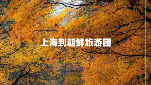 上海到朝鮮旅游團(tuán)