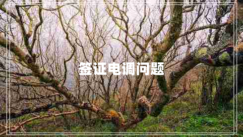 簽證電調(diào)問(wèn)題 簽證電調(diào)問(wèn)題