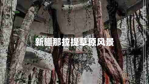 新疆那拉提草原風景