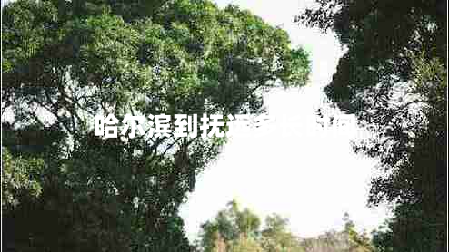 哈爾濱到撫遠(yuǎn)多長(zhǎng)時(shí)間