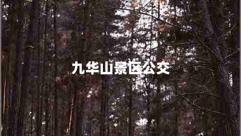 九華山景區(qū)公交
