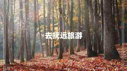 去撫遠(yuǎn)旅游 去撫遠(yuǎn)旅游