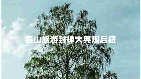 泰山旅游封禪大典觀后感 泰山旅游封禪大典觀后感