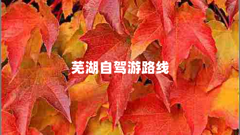 蕪湖自駕游路線