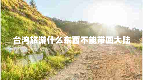 臺灣旅游什么東西不能帶回大陸