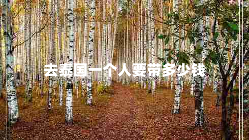 去泰國一個(gè)人要帶多少錢 去泰國一個(gè)人要帶多少錢