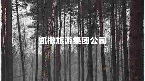 凱撒旅游集團公司