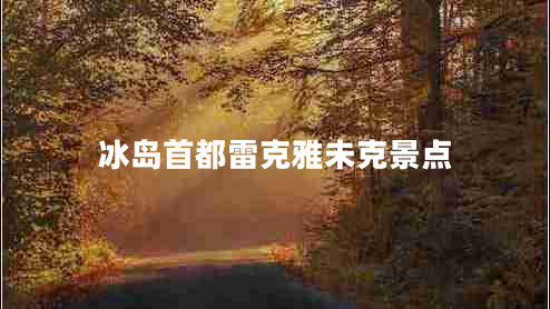 冰島首都雷克雅未克景點(diǎn) 冰島首都雷克雅未克景點(diǎn)