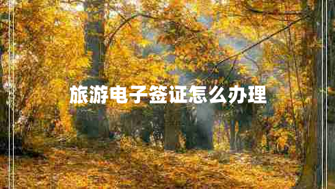 旅游電子簽證怎么辦理