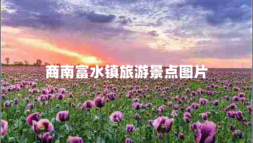 商南富水鎮(zhèn)旅游景點(diǎn)圖片 商南富水鎮(zhèn)旅游景點(diǎn)圖片