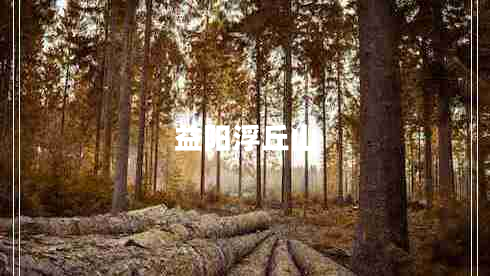 益陽浮丘山 益陽浮丘山